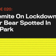Illustration for article titled Yosemite On Lockdown After Bear Spotted In Park